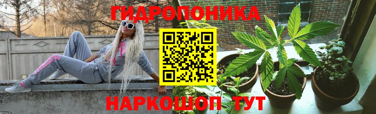 Конопля Amnesia  Бошки марихуана MAZAR  Губкинский  Вход с VPN  Конопля семена  Каннабис AK-47 