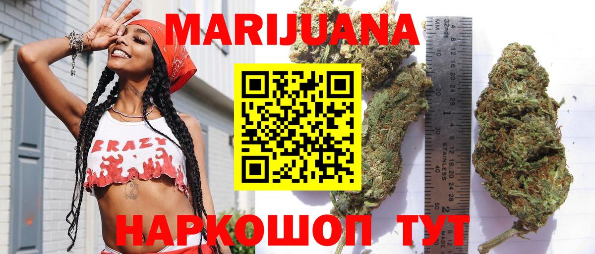 Бошки Шишки семена Губкинский